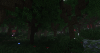 Dark Forest