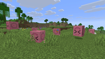 Bocchi the Sulfur Cube 