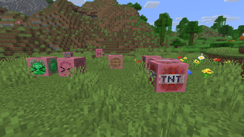 Bocchi the Sulfur Cube 