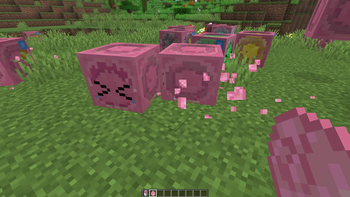 Bocchi the Sulfur Cube - Bocchi spawn egg
