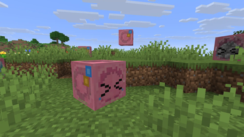 Bocchi the Sulfur Cube 