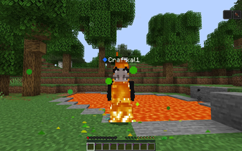  Works in Hardcore Mode