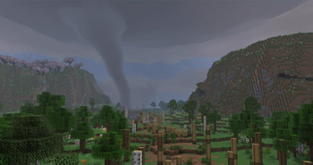 Tornado damage on a forest