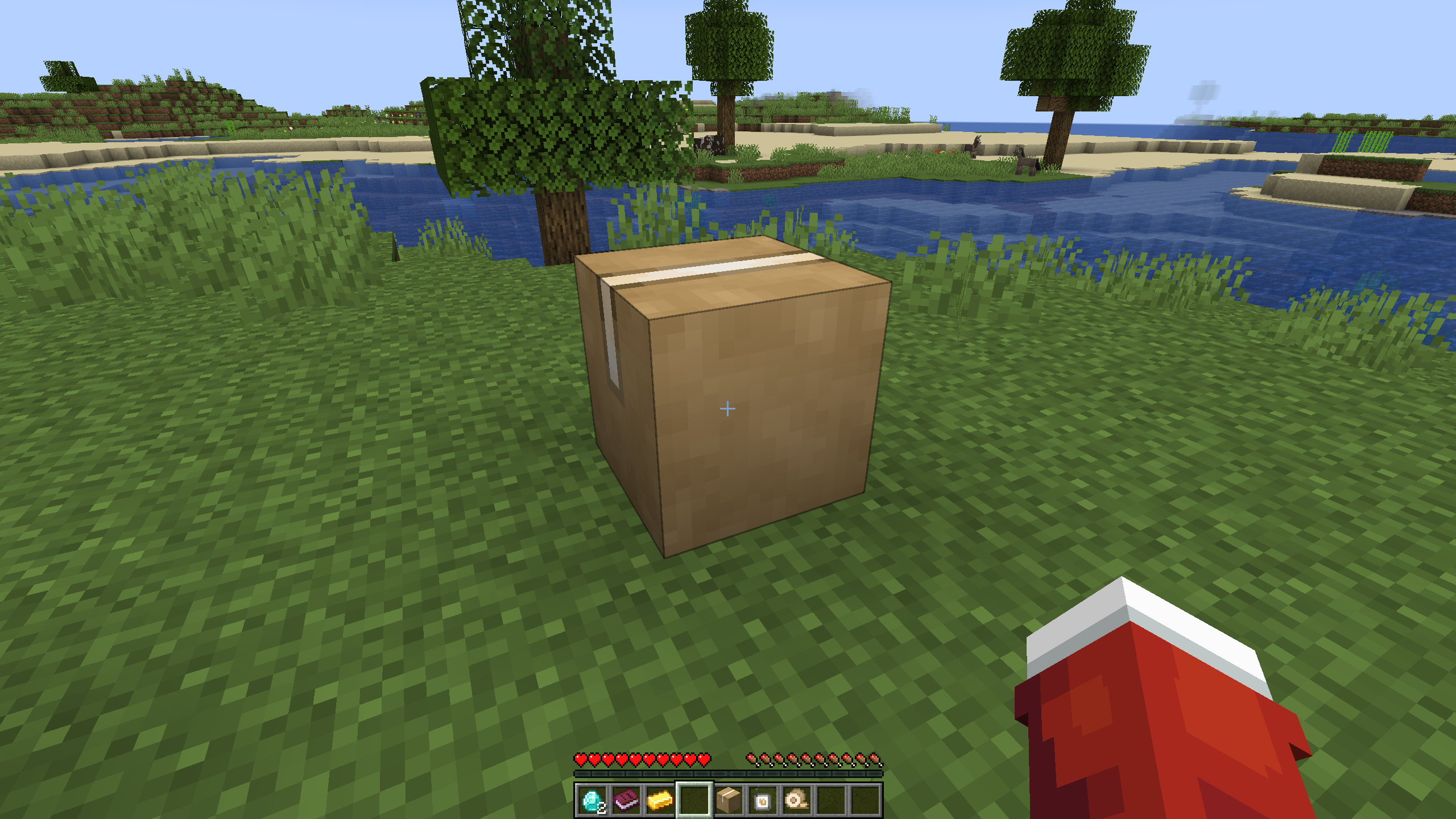Package on the ground