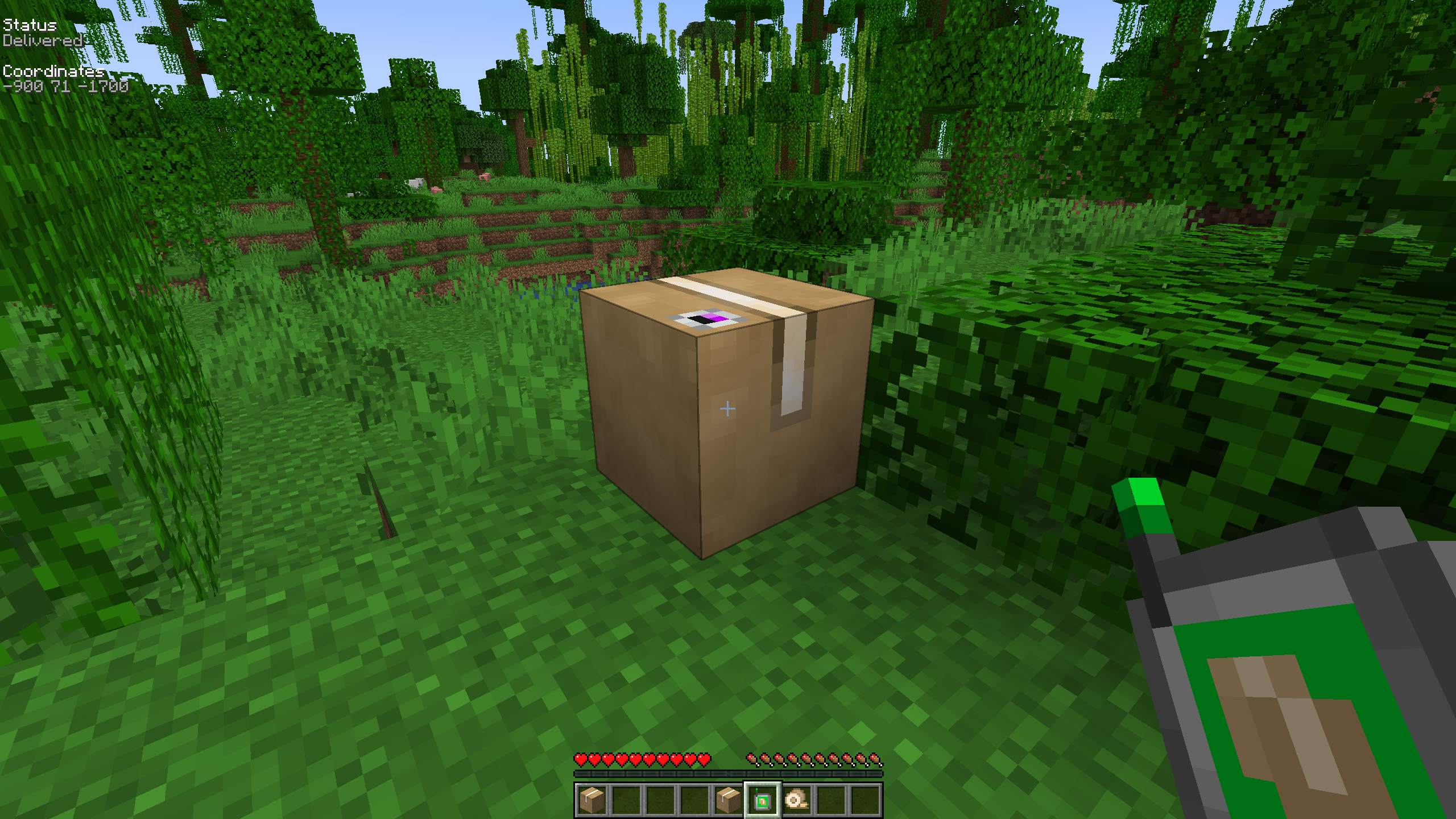 Delivered Package