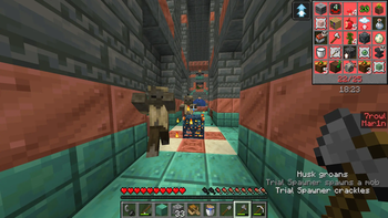 In-game screenshot