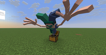 Player Head