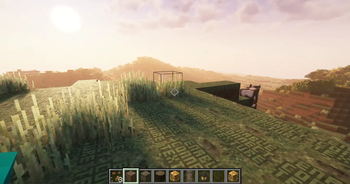 beautiful graphics