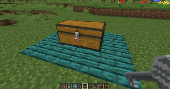 locked double chest