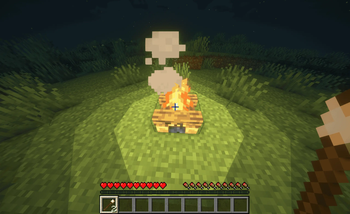 Marshmallows and campfire