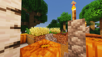 Farmland