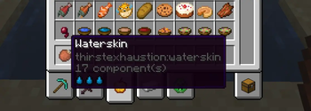 Full Waterskin