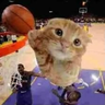 Ballincat42