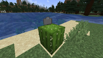 Indestructible Briefcase