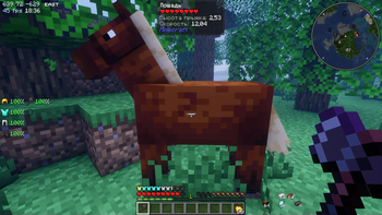 Information about the mobs & blocks