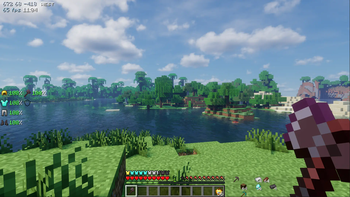 The default interface view
