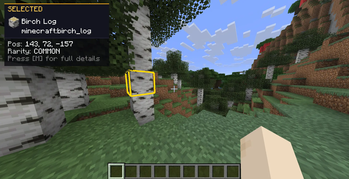 Inspect Overlay