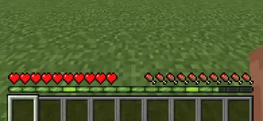 XP Bar in game