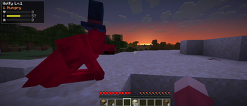 red dog with a hat at the beach