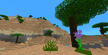 Ancient Beach