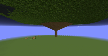 Enchanted Sacred Oak Tree