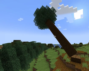 Falling Spruce Tree