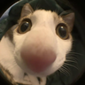 RedDudeFR