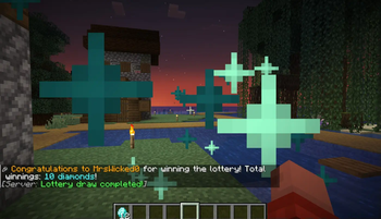 Lottery Winner