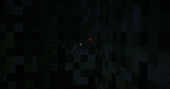 Hide.