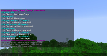 Help Command