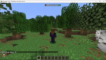 Join, Quit, and Chat Messages support changed nicknames
