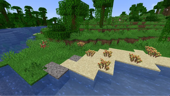 Some more crops in the wild