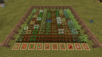 The crops