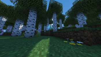 Volumtric light daytime