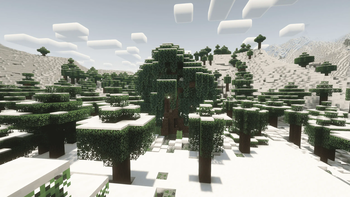 Snow Nature