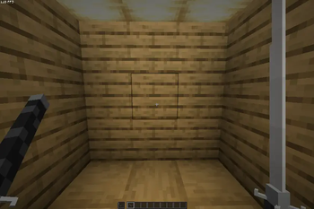 first person view