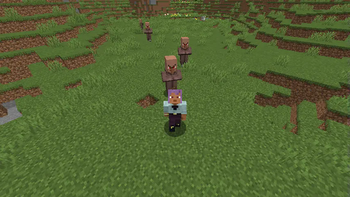 Angry Villager