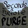 Seconds Before Purge