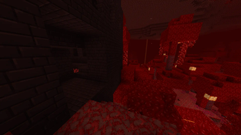 Crimson Forest + Nether Fortress