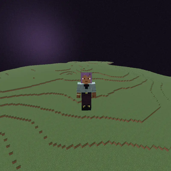 The dimension