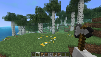 Forest