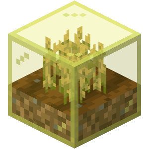 Traveler's Garden