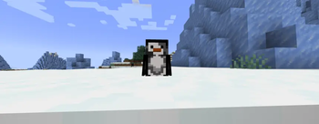 penguinn