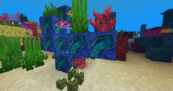 Queen Coral