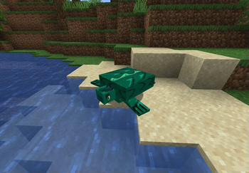 Turtle