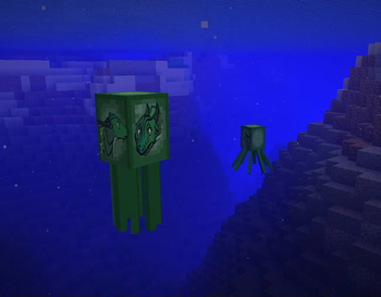 Squid