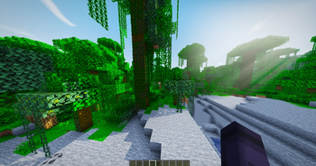 Cool animations and leafs