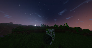 V1.1 Beta
