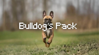 Bulldog's Pack