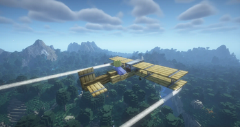 Flight